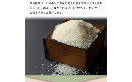 【定期便】令和6年産 新米 訳あり 京都丹波米こしひかり5kg×4回 計20kg◆ 定期便 4回定期便 米 白米 5kg 4ヶ月 ※精米したてをお届け ｜ 米・食味鑑定士厳選 京都丹波産 ※北海道・沖縄・離島への配送不可 ※2024年10月上旬以降順次発送予定