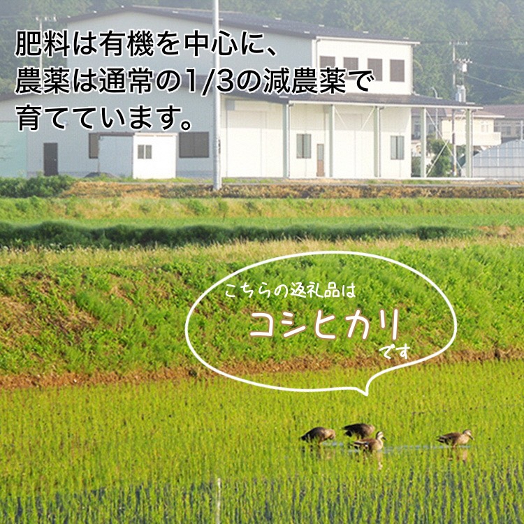 【令和6年産先行予約】米 コシヒカリ 玄米 10kg〈アグリにのうみ〉京都・亀岡産《令和6年産》 京都丹波産◇※北海道・沖縄・離島への配送不可※2024年10月中旬～11月中旬頃に順次発送予定