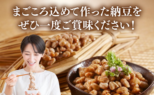 【6回定期便】京・丹波納豆 有機JAS認証・国産有機納豆 6ヶ月定期便［全6種類（40ｇ×20個、88g×1）×全6回］