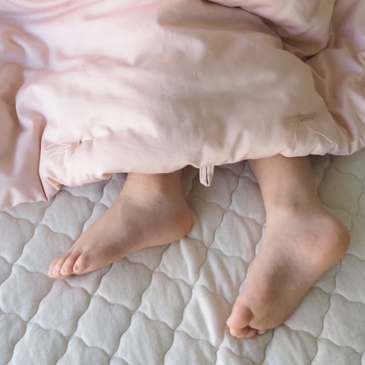 包まれる薄掛け布団 マザーコットンケット ハーフ 0.5kg ＜亀屋寝装センター＞《寝具 布団 掛布団 綿布団 軽量 綿》