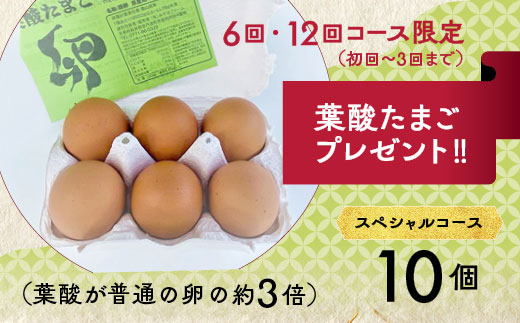 【6回定期便】旬の京野菜　毎月お届けスペシャルコース（全6回）＆『葉酸たまご』10個入り×1パック×3回分付き《野菜定期便 野菜詰め合わせ 野菜セット 京野菜 旬の野菜 新鮮野菜 卵》※沖縄・離島・諸島へのお届け不可