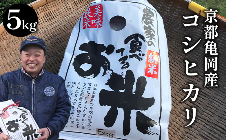 令和7年産 コシヒカリ 5kg ≪米 コメ 白米 京都 丹波 こしひかり 数量限定≫