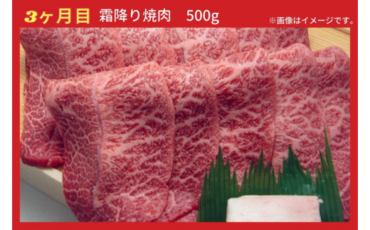 【6回定期便】亀岡牛 6ヶ月 お楽しみセット【計2.8kg】＜亀岡牛専門 木曽精肉店＞≪コロナ支援 和牛 牛肉≫ ☆祝！亀岡牛 2021年最優秀賞（農林水産大臣賞）受賞 ※冷凍（冷蔵も指定可）