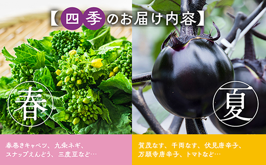 【6回定期便】旬の京野菜　毎月お届けスペシャルコース（全6回）＆『葉酸たまご』10個入り×1パック×3回分付き《野菜定期便 野菜詰め合わせ 野菜セット 京野菜 旬の野菜 新鮮野菜 卵》※沖縄・離島・諸島へのお届け不可