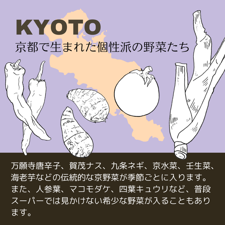 ＜３６９商店＞京都丹波産旬の野菜セット　※全て栽培期間中農薬・化学肥料不使用 ※北海道・沖縄・離島への配送不可