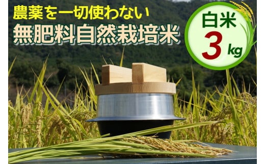 米 令和6年産 自然栽培米 にこまる ＜農薬を一切使わない無肥料栽培＞ 白米 3kg（精米したて） 《新米 京都丹波産 無農薬米栽培向き 厳選品種》