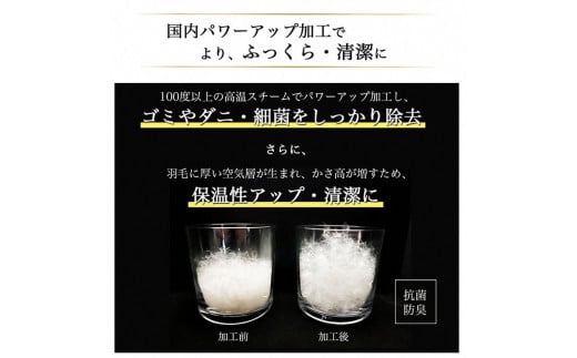 【訳あり】＜京都金桝＞色柄お任せ 羽毛布団 掛け布団 ホワイトダウン85％『合掛け シングル』 DP350 京都亀岡産 日本製 ｜ 国産 寝具 布団 新生活 夏 夏用 洗える ダウンケット 冬 冬用 秋冬用 ふるさと納税訳あり