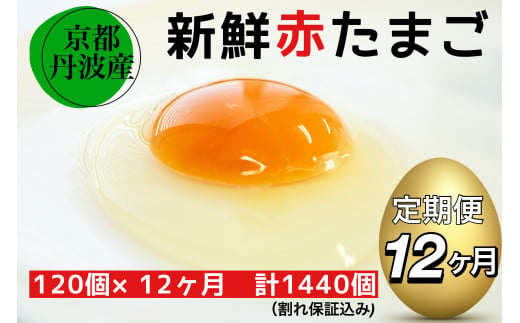 【12回定期便】新鮮 卵 京都・丹波の赤たまご 120個（100個＋割れ保障20個）×12ヶ月 計1440個 《生卵 たまご タマゴ 卵 玉子 鶏卵 小分け 1年間》※北海道・沖縄・離島への配送不可