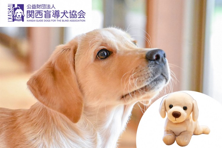 【返礼品相当額で盲導犬の育成を支援】支援額30,000円(記念品あり)エコバッグなど盲導犬協会オリジナルグッズ進呈[行きたい場所に安心していける社会に…]