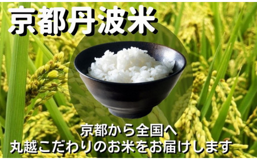 【7日以内発送】京都丹波産 米 食べ比べセット◇【京都丹波産 こしひかり きぬひかり 各5kg 計10kg】※米食味鑑定士厳選 ※精米したてをお届け【京都伏見のお米問屋が精米】食べくらべ ※沖縄本島・離島への配送不可