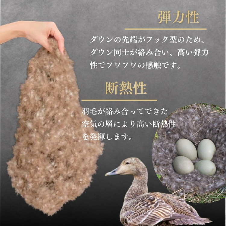 ＜京都金桝＞羽毛布団 シングル 極暖 アイダーダウン ポーランドマザーグース95% ボリューム 特殊トリプルエアーキルト 日本製 ピンク／ブルー 冬用 布団 京都亀岡産 キャピタル トリプル