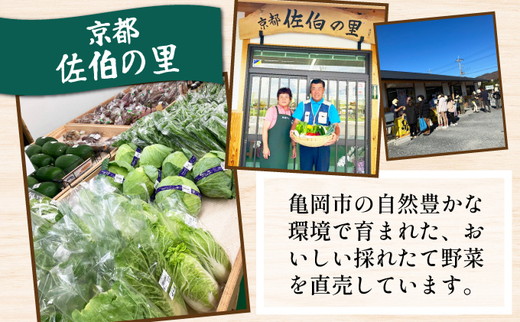 野菜 定期便 直送 12回 朝採れ 7～10品目 京都丹波 亀岡 佐伯の里 訳あり生活応援 家計応援 ※北海道・沖縄・離島への配送不可