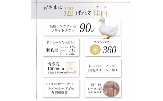 軽くて暖か 京都金桝 羽毛布団 本掛け シングル ハンガリーホワイトダウン90％ DP360 日本製 京都亀岡産 ｜ 冬用 掛け布団 掛布団 ｜ アクア