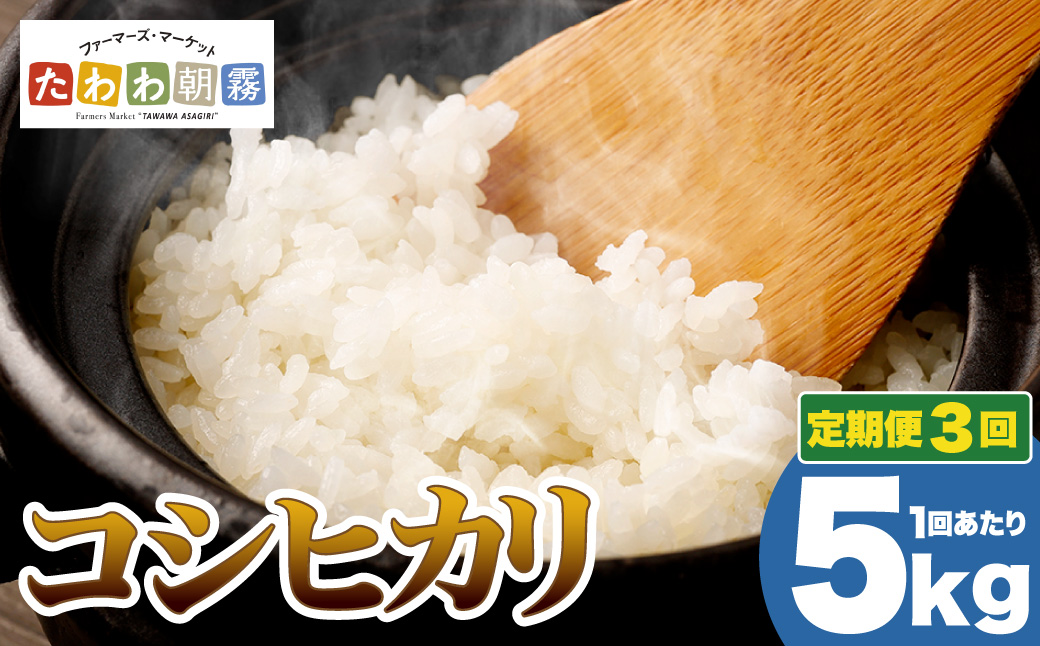【5月発送】【定期便】令和7年産 5kg 3ヶ月 京都丹波産 コシヒカリ 白米＜JA京都 たわわ朝霧＞ 3回定期便 5kg×3回 計15kg 毎月発送に合わせて精米
