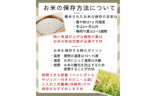 【定期便】令和6年産 新米 訳あり 京都丹波米こしひかり5kg×4回 計20kg◆ 定期便 4回定期便 米 白米 5kg 4ヶ月 ※精米したてをお届け ｜ 米・食味鑑定士厳選 京都丹波産 ※北海道・沖縄・離島への配送不可 ※2024年10月上旬以降順次発送予定