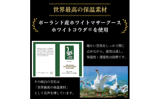 ＜京都金桝＞羽毛布団 シングル 特殊2層キルト(ポーランド産マザーホワイトグースダウン95％ ホワイトコウダ・たっぷり1.2kgふっくら仕上げ) ロジック≪羽毛ふとん 掛け布団 国内再洗浄 DP450 新生活≫