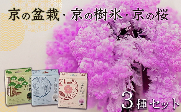 「京の桜」「京の盆栽」「京の樹氷」3種セット 紙 インテリア 日用雑貨 おしゃれ ギフト 工作 自由研究