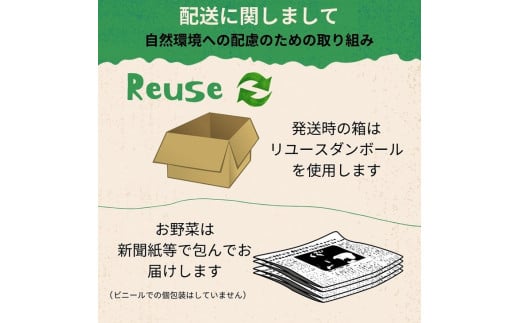 【先行予約】赤たまねぎ 5kg 京都府・亀岡産 自然栽培のかたもとオーガニックファームよりお届け ※2025年6月頃より順次発送予定 ※離島への発送不可