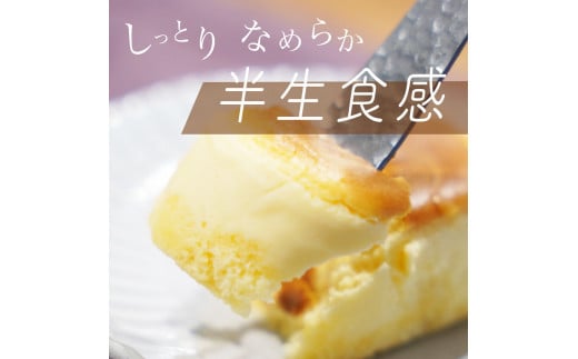 濃厚 半熟 スフレ チーズケーキ 20個 個包装 無添加＜半熟チーズ工房 京都 洋菓子館ベルジェノア＞