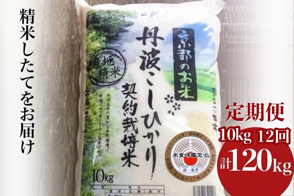 【9月より新米】【毎月1回お届け】【定期便】米 京都丹波米 こしひかり10kg×12回 計120kg 米 12ヶ月 白米 12回定期便 ※精米したてをお届け コシヒカリ ※北海道・沖縄・離島への配送不可