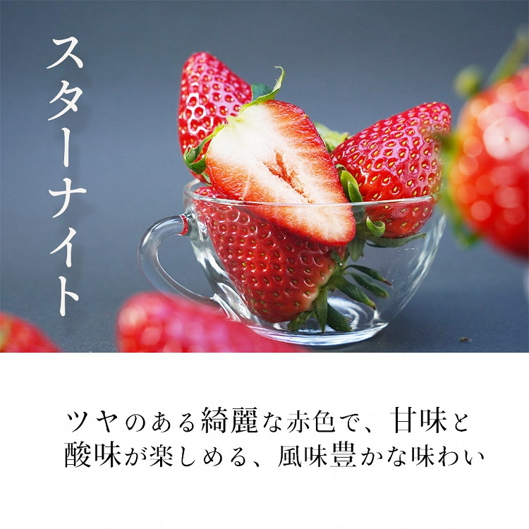 高級 京いちご 完熟 朝採れ 1箱 約450g 小島農園 紅ほっぺ おいCベリー スターナイトから厳選してお届け≪期間限定 苺 イチゴ 旬≫※離島への配送不可 ※2026年1月中旬～5月上旬頃に順次発送予定