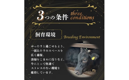 ＜亀岡牛専門店（有）木曽精肉店＞「亀岡牛赤身 すき焼き 用 」1kg ※冷凍（冷蔵も指定可）☆祝！亀岡牛 2023年最優秀賞（農林水産大臣賞）受賞