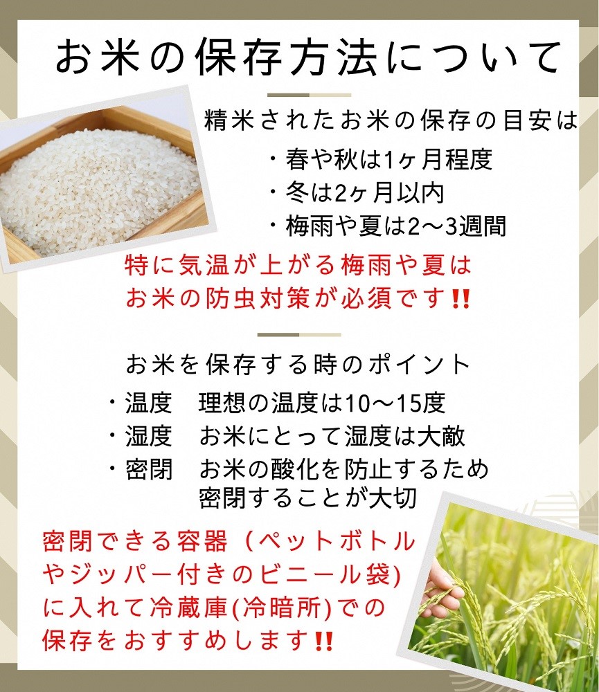 【定期便】令和6年産 新米 訳あり 京都丹波米こしひかり10kg×3回 計30kg◆ 米 3ヶ月 白米 3回定期便 ※精米したてをお届け コシヒカリ ※毎月1回又は2カ月に1回 ※北海道・沖縄・離島への配送不可 ※2024年10月上旬以降順次発送予定