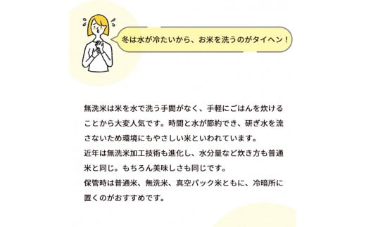 無洗米 2kg 真空パック 京都丹波産 コシヒカリ ※受注精米 2kg｜米 白米 2キロ 小分け 備蓄米 非常食 こしひかり 亀岡そだち ふるさと納税米 ※北海道・沖縄・離島への配送不可