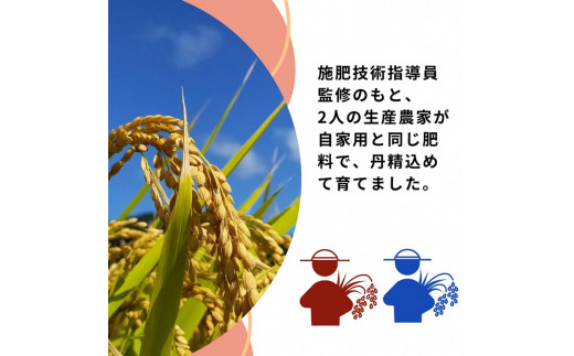 米 2品種 ヒノヒカリ・きぬむすめ 食べ比べ 5kg × 2袋 10kg 施肥技術指導員監修《米 令和5年産》SDGs未来都市亀岡※着日指定不可