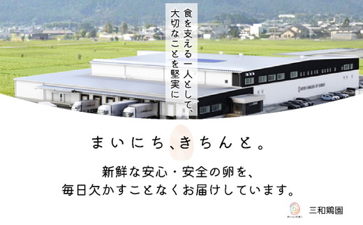 新鮮 卵 120個（100個+卵割れ保証20個）(10個×12パック)京都丹波『霧の卵』三和鶏園 ≪たまご タマゴ 玉子 生卵 鶏卵 小分け 贈答 ギフト ふるさと納税 卵 直送 冷蔵 朝食 料理 人気≫ ※北海道・沖縄・離島への配送不可