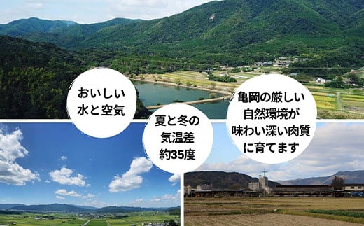 「亀岡牛」サーロインステーキ　2枚（400ｇ） ☆祝！亀岡牛 2023年最優秀賞（農林水産大臣賞）受賞≪京都 丹波 冷蔵便 牛肉≫ ※北海道・沖縄・離島への配送不可