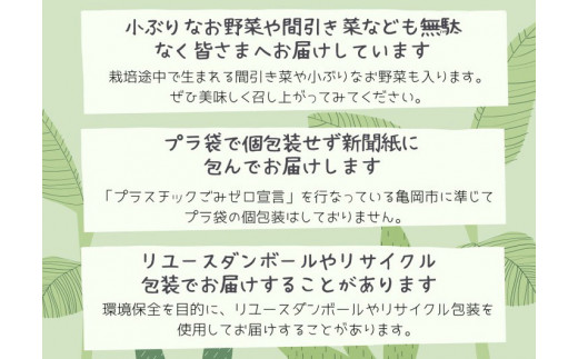 【12回定期便】かたもとオーガニックファームの農業研修生が無農薬・自然栽培で育てたお野菜セット 8〜10品目 ｜ 産地直送 朝採れ 新鮮 京野菜 京都府 亀岡産