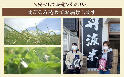 【6回定期便】京都丹波・亀岡発 旬の野菜・こしひかり 詰め合わせセット (隔月6回お届け)● ※北海道・沖縄・離島への配送不可