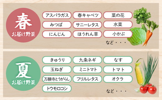 野菜 定期便 直送 12回 朝採れ 7～10品目 京都丹波 亀岡 佐伯の里 訳あり生活応援 家計応援 ※北海道・沖縄・離島への配送不可