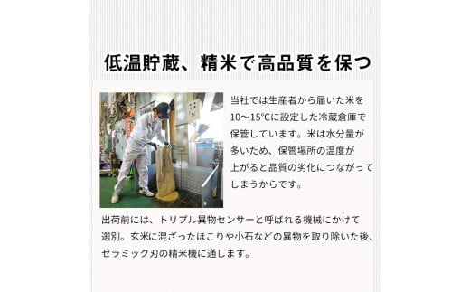 【定期便】令和6年産 新米 京都丹波米こしひかり 6kg(2kg×3袋)× 6回 計36kg◆ 米 6kg 6ヶ月 白米 6回定期便 ※精米したてをお届け 米・食味鑑定士厳選 コシヒカリ 京都丹波産 ※北海道・沖縄・離島への配送不可 ※2024年10月上旬以降順次発送予定