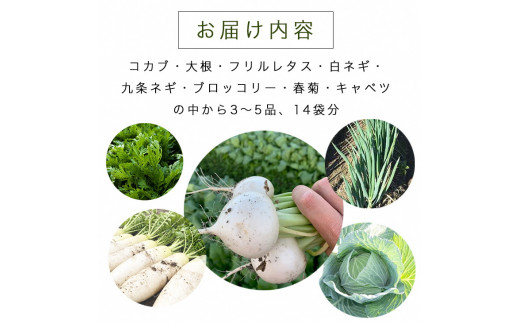 ソルモンドの 冬野菜セット！3〜5品 14袋◇ ＜野菜 野菜セット 野菜詰め合わせ 旬野菜 国産 京都 減農薬 ふるさと納税野菜＞ ※北海道・沖縄・離島への配送不可