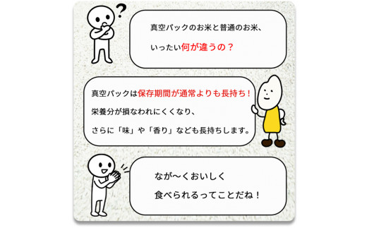 無洗米 10kg （2kg×5袋） 真空パック 京都丹波産 キヌヒカリ ※受注精米《米 白米 きぬひかり 10キロ 小分け ふるさと納税 無洗米 大嘗祭供納品種 亀岡そだち》※北海道・沖縄・その他離島への配送不可