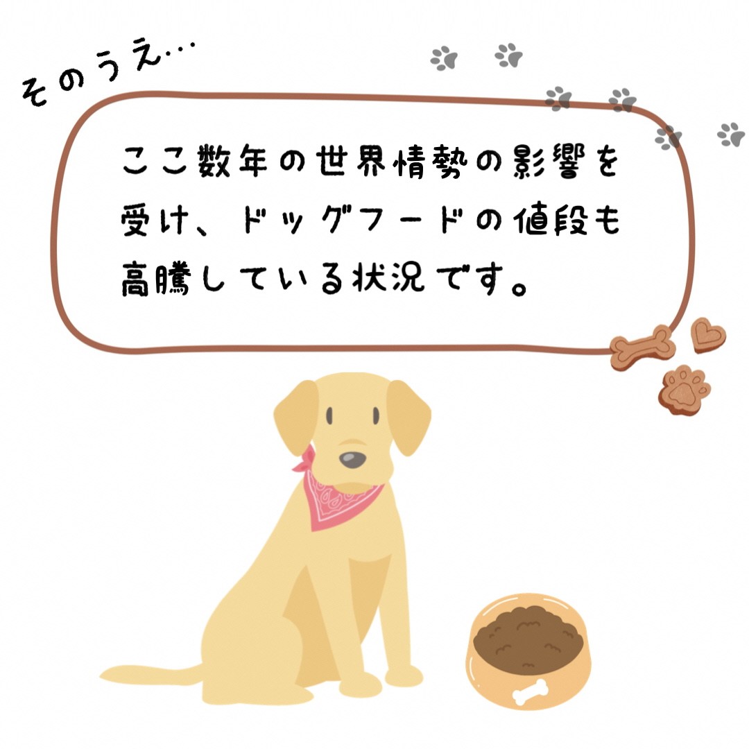 【返礼品相当額で盲導犬の育成を支援】支援額15,000円(記念品あり)エコバッグなど盲導犬協会オリジナルグッズ進呈[行きたい場所に安心していける社会に…]
