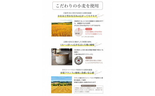 6回定期便 天然酵母 パン セット(食パン×2種・バケット×1種・カンパーニュ×4種 計7種) 《国産小麦 フランス産小麦 有機 無添加 詰め合わせ セット 朝食 京都》 ※北海道・沖縄・離島への配送不可