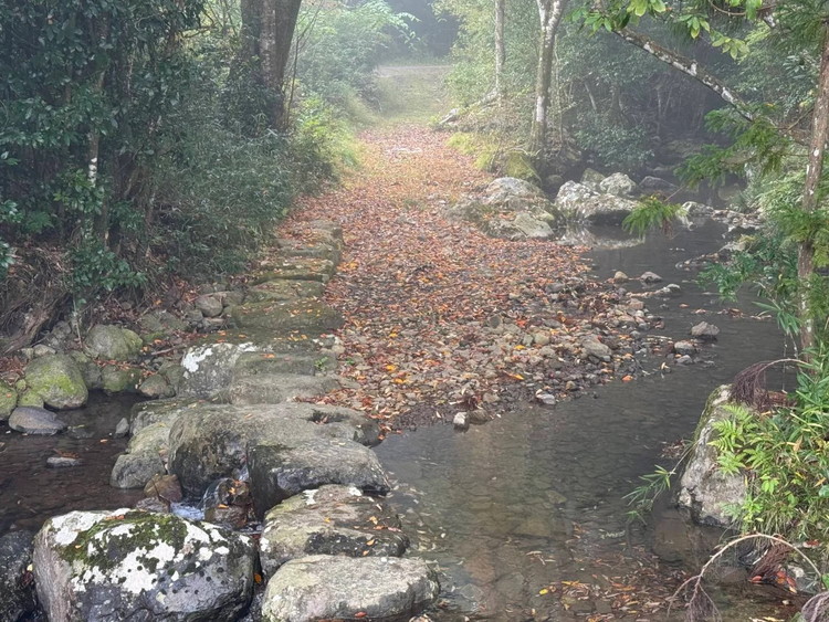 京都・亀岡産きぬひかり「宮川神社米」3kg(1kg×3袋) 米 令和7年産 ※北海道・沖縄・離島への配送不可