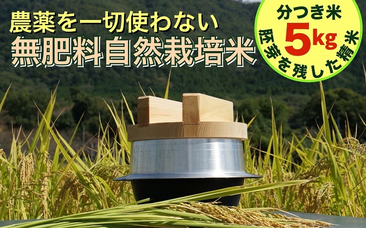 米 令和6年産【胚芽を残した精米】自然栽培米 にこまる ＜農薬を一切使わない無肥料栽培＞ 分つき米5kg・精米したて 《新米 京都丹波産 無農薬米栽培向き 厳選品種》 ※2024年10月中旬頃より順次発送予定