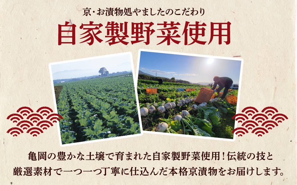 京漬物 24品 詰め合わせ＜京・お漬物処やました＞小分け 16品＋8品 亀岡 野菜 京野菜 漬物 京都