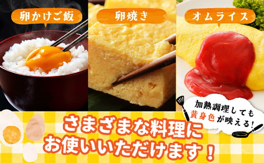 【6回定期便】新鮮 卵 120個（100個+卵割れ保証20個）(10個×12パック)京都丹波『霧の卵』三和鶏園 ≪たまご タマゴ 玉子 生卵 鶏卵 小分け 贈答 ギフト ふるさと納税 卵 直送 冷蔵 朝食 料理 人気≫ ※北海道・沖縄・離島への配送不可