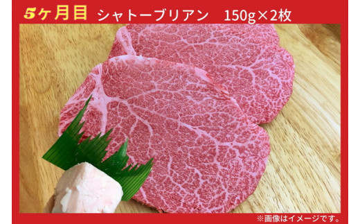 【6回定期便】亀岡牛 6ヶ月 お楽しみセット【計2.8kg】＜亀岡牛専門 木曽精肉店＞≪コロナ支援 和牛 牛肉≫ ☆祝！亀岡牛 2021年最優秀賞（農林水産大臣賞）受賞 ※冷凍（冷蔵も指定可）