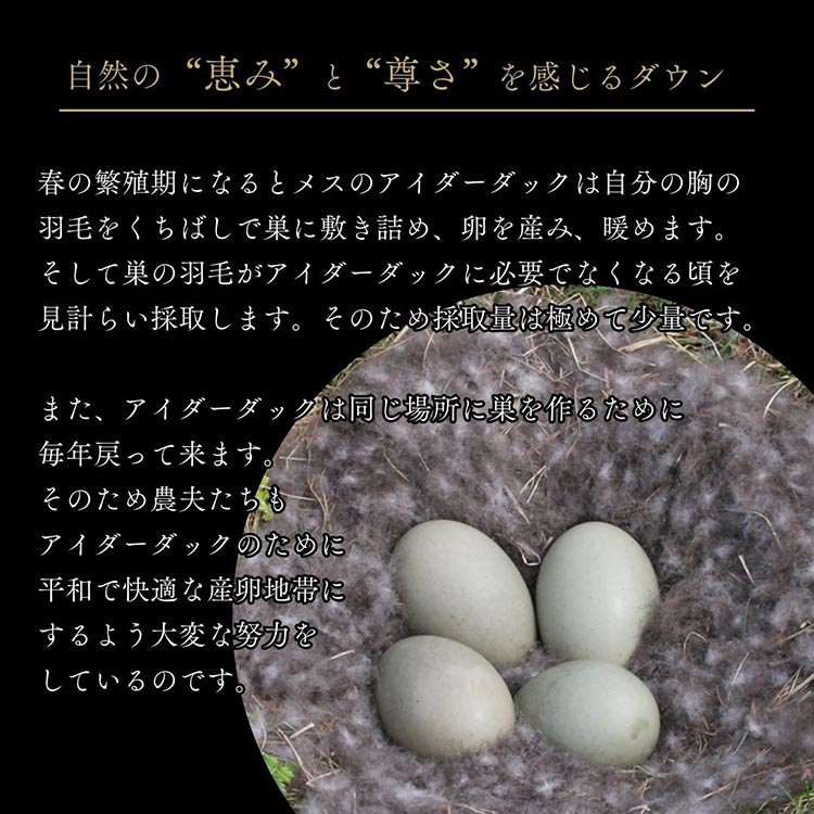 ＜京都金桝＞最高峰 アイダーダウン95% 羽毛掛けふとん クイーン 1.8kg ＜羽毛布団 羽毛ふとん 掛け布団 アイダー 高級 国産 日本製 シルク 絹 寝具＞｜モナク