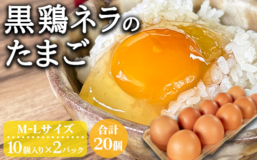 たかはし農園の放し飼い 黒鶏 ネラのたまご 10個×2 計20個 《京都 丹波産 放し飼い 希少 自然卵 平飼い 卵 有精卵 贈り物 ギフト 産地直送 健康食品 贈答》 ※2025年3月以降順次発送予定