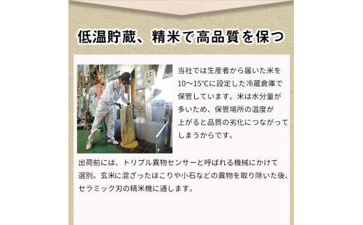 【定期便】令和6年産 新米 訳あり 京都丹波米こしひかり5kg×4回 計20kg◆ 定期便 4回定期便 米 白米 5kg 4ヶ月 ※精米したてをお届け ｜ 米・食味鑑定士厳選 京都丹波産 ※北海道・沖縄・離島への配送不可 ※2024年10月上旬以降順次発送予定