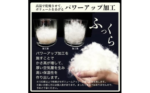 京都金桝 羽毛布団 本掛け ハンガリーホワイトダウン90％ クイーン 1.9kg DP360 立体キルト ≪人気 ランキング 日本製 京都亀岡産 掛け布団 掛布団 羽毛ふとん≫アクア ふるさと納税羽毛布団 羽毛布団 寝具 掛けふとん 布団 掛布団 クイーン羽毛布団 羽毛ふとん 寝具 羽毛布団 クイーン 羽毛布団 寝具 羽毛ふとん 寝具 羽毛布団