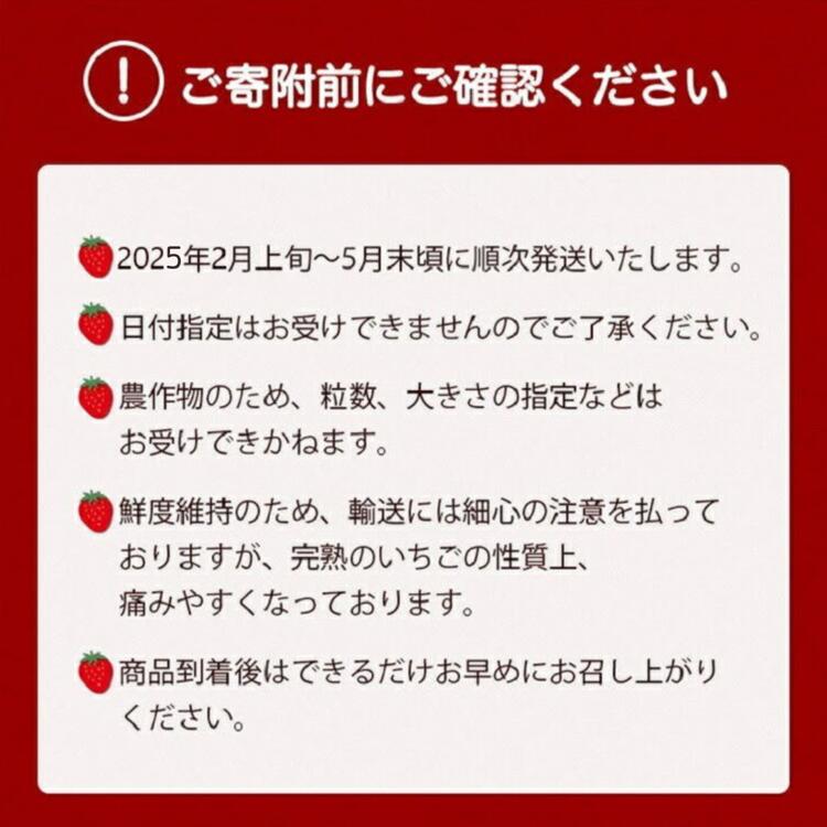 【数量限定】高級 京いちご 内容量 約2,000g（250g 8パック）【紅ほっぺ おいCベリー スターナイトから厳選してお届け】訳あり 完熟 朝採れ※離島への配送不可 ※2025年2月上旬～5月下旬頃に順次発送予定