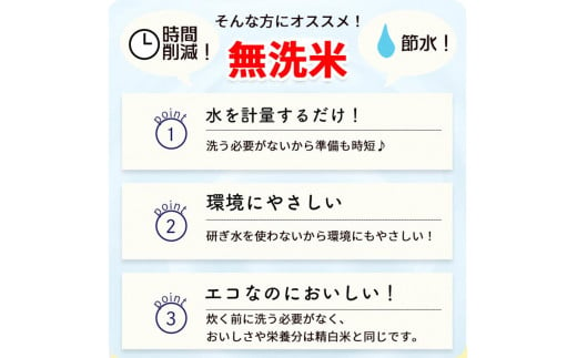 無洗米 2kg 真空パック 京都丹波産 コシヒカリ ※受注精米 2kg｜米 白米 2キロ 小分け 備蓄米 非常食 こしひかり 亀岡そだち ふるさと納税米 ※北海道・沖縄・離島への配送不可